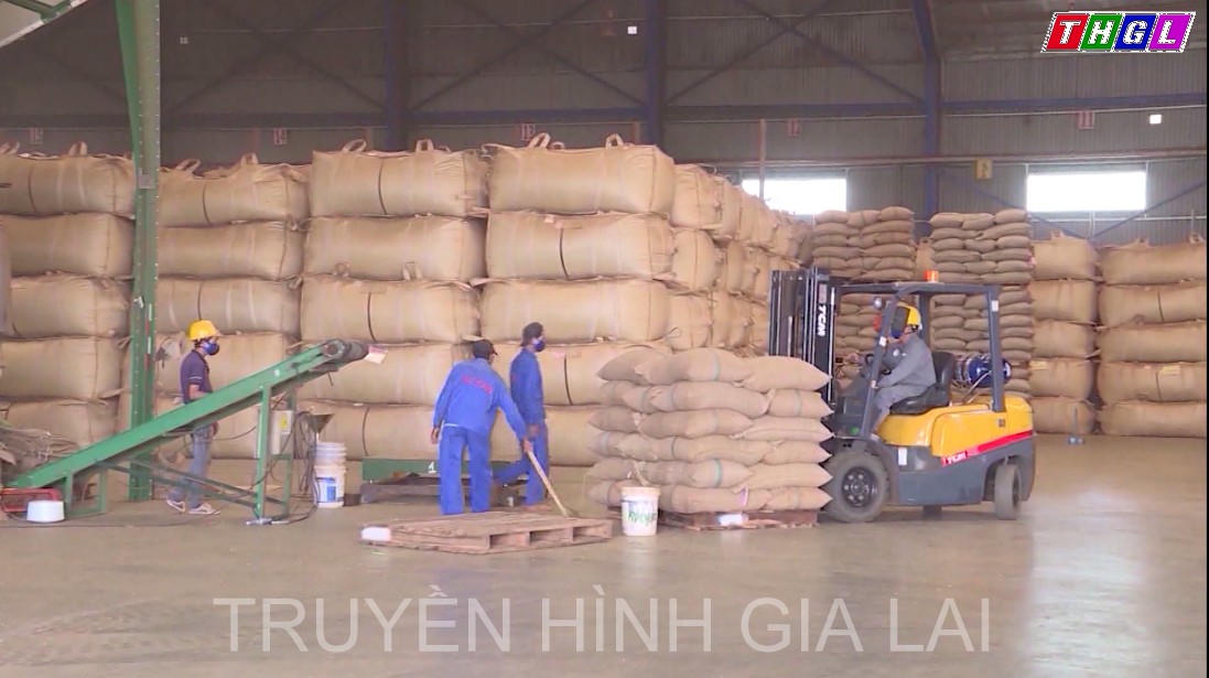 Mặt hàng nông sản xuất khẩu chủ lực của tỉnh đã có mặt trên thị trường của 50 quốc gia