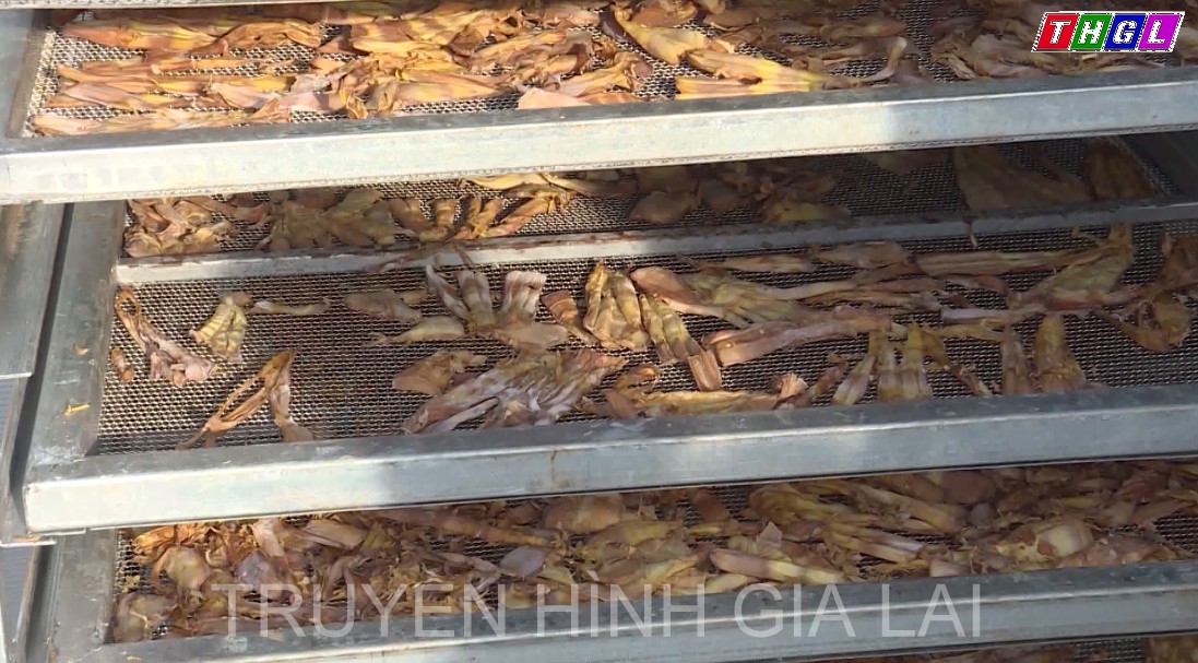 Gia Lai chú trọng nâng cao chất lượng các sản phẩm OCOP