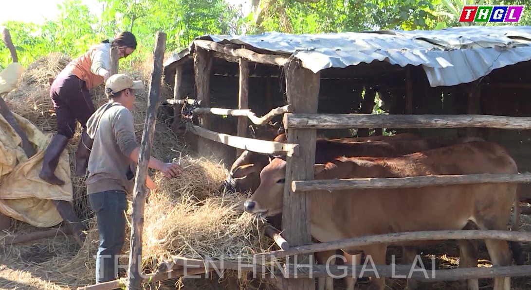 Huyện Mang Yang phấn đấu giảm 305 hộ nghèo trong năm 2022