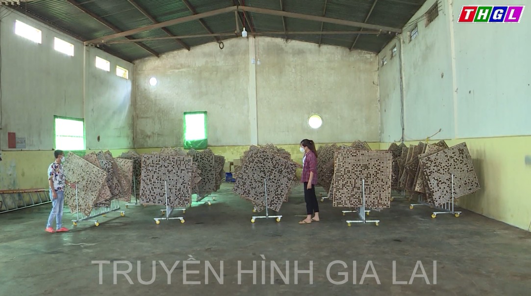 Nông dân Chư Sê thi đua sản xuất kinh doanh giỏi từ chuyển đổi cơ cấu cây trồng vật nuôi