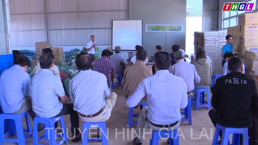 Hội thảo phát triển hồ tiêu bền vững, đáp ứng yêu cầu ngày càng cao về xuất khẩu