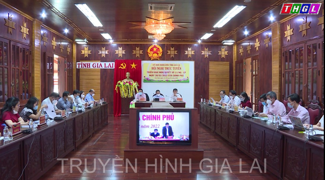 Hội nghị trực tuyến triển khai Nghị quyết số 11/NQ-CP của Thủ tướng Chính Phủ