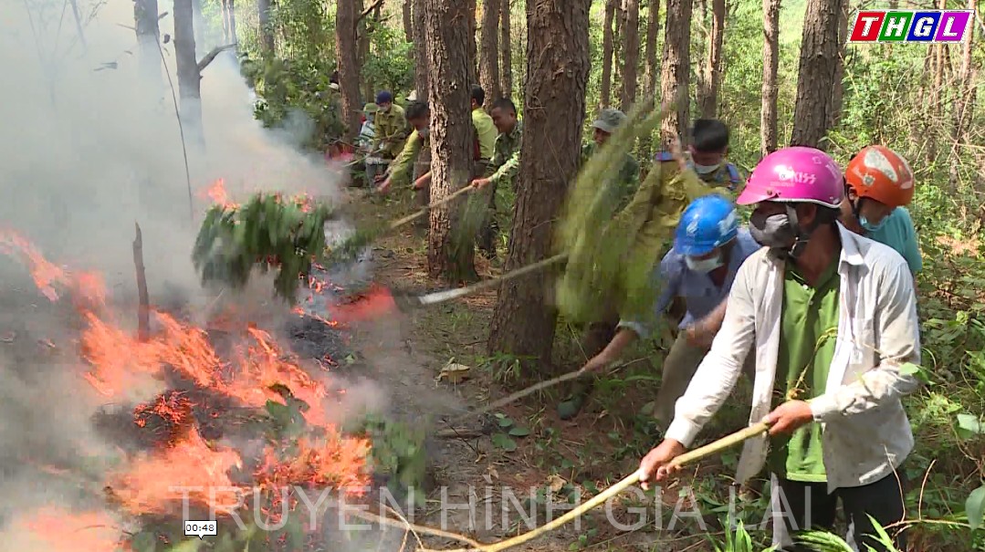 Đak Pơ cao điểm phòng, chống cháy rừng mùa khô