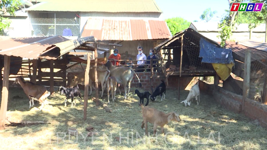 Chị Rơ Mah Brấp- Tấm gương vượt khó, thoát nghèo