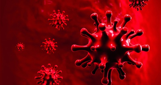 Liệu đã có thể coi COVID-19 là bệnh đặc hữu?