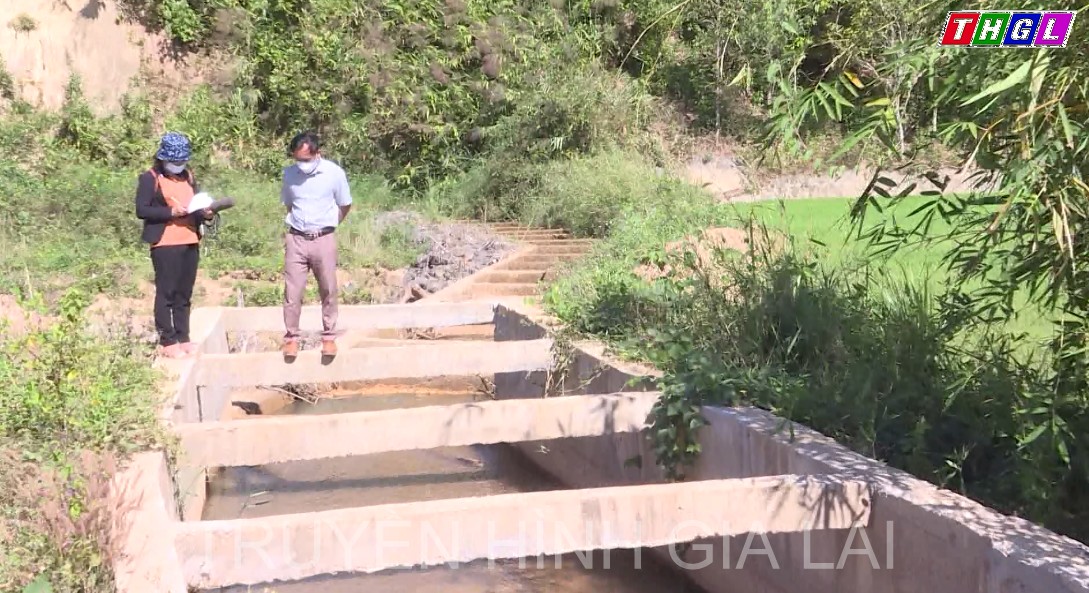 Huyện Đak Đoa chủ động phòng, chống hạn vụ Đông Xuân 2021-2022