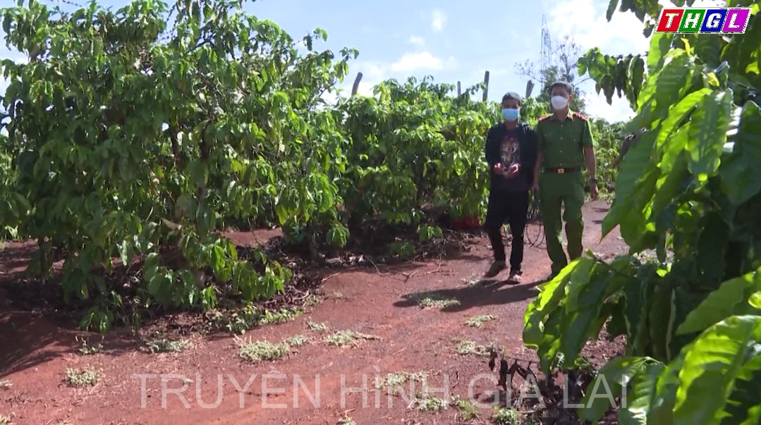 Bắt giữ đối tượng giết người, hiếp dâm trong rẫy vắng