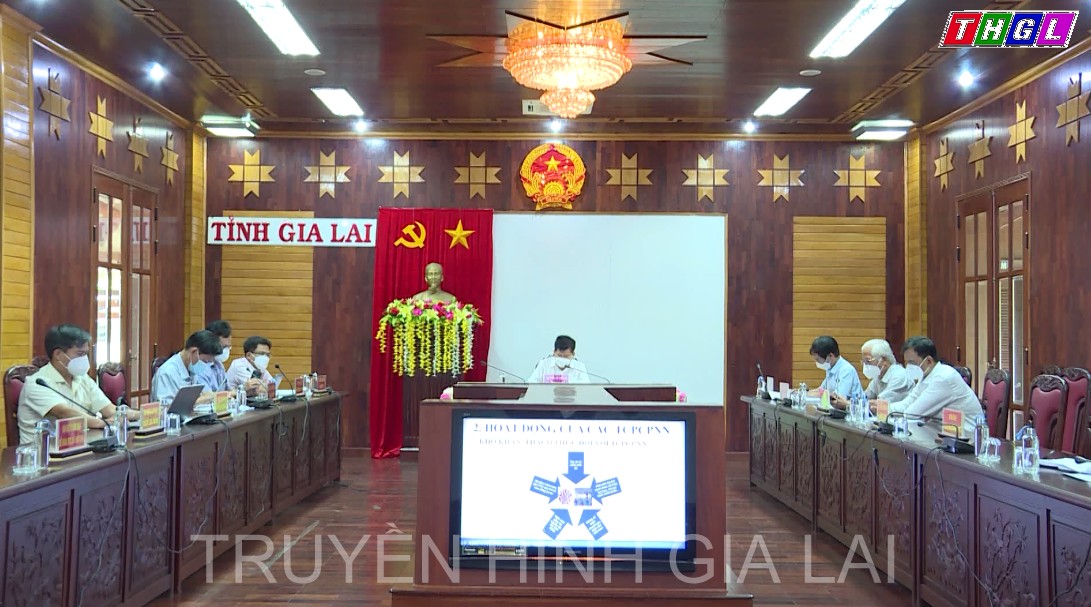 Giao ban trực tuyến toàn quốc công tác phi chính phủ nước ngoài năm 2021