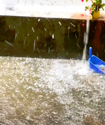 Đà Lạt xuất hiện mưa đá lớn chưa từng có