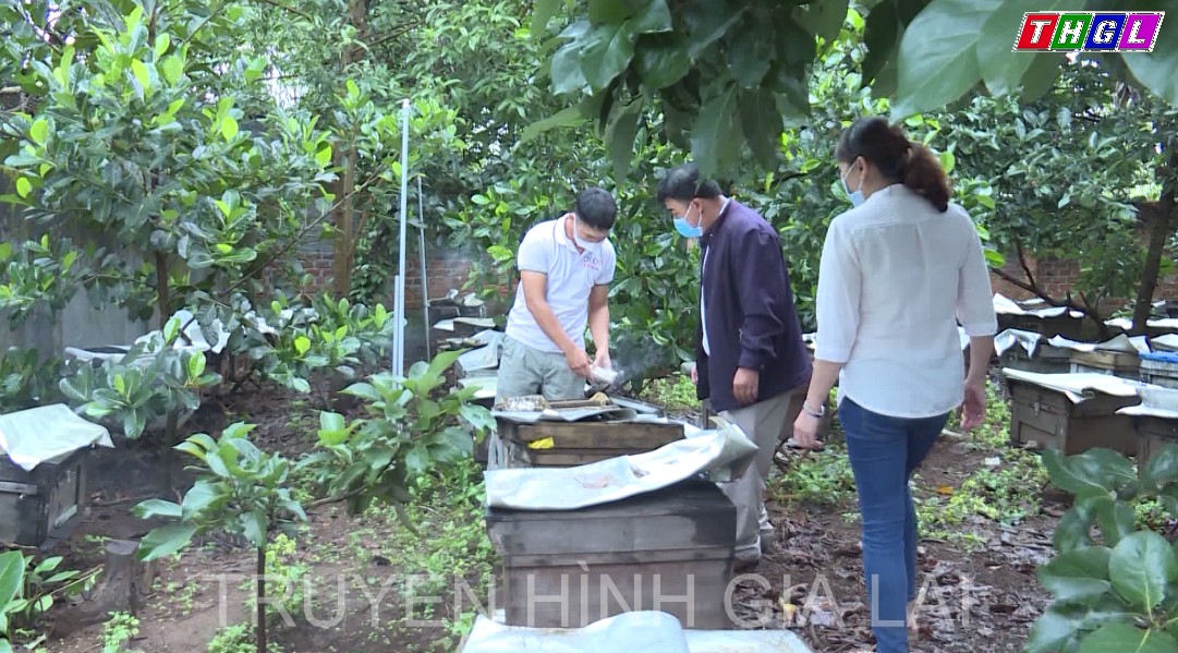 3,2 tỷ đồng thực hiện Dự án “Đăng ký bảo hộ, quản lý và phát triển nhãn hiệu chứng nhận cho sản phẩm mật ong hoa cà phê”