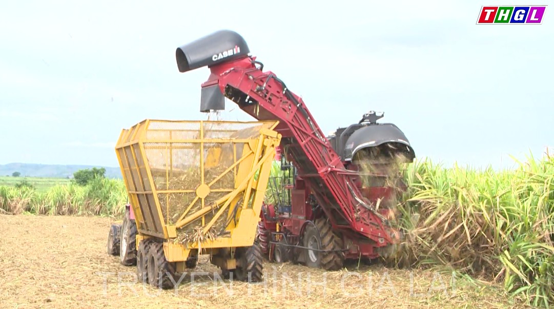 Tiếp tục huy động và ưu tiên các nguồn lực để thực hiện các chính sách hỗ trợ phát triển HTX