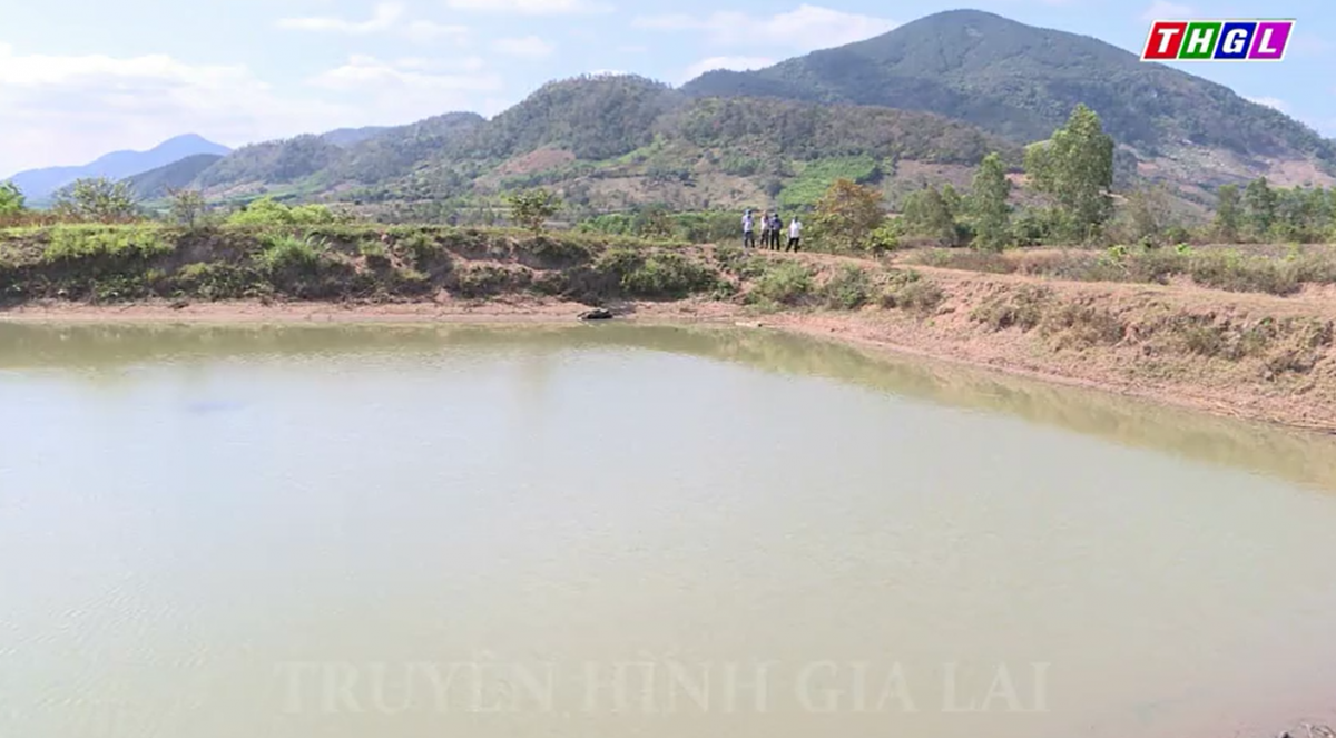 Huyện Đak Pơ tập trung đầu tư xây dựng thủy lợi nhỏ phục vụ sản xuất nông nghiệp