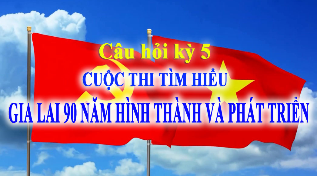 Câu hỏi Kỳ thi thứ năm