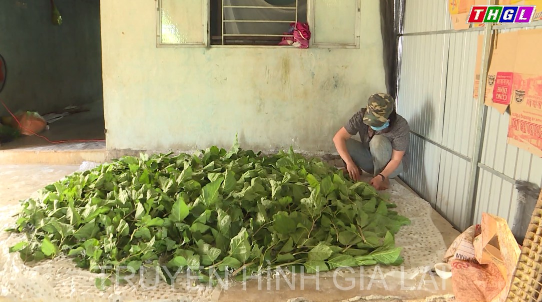 Huyện Chư Pưh triển khai nhiều giải pháp giảm nghèo