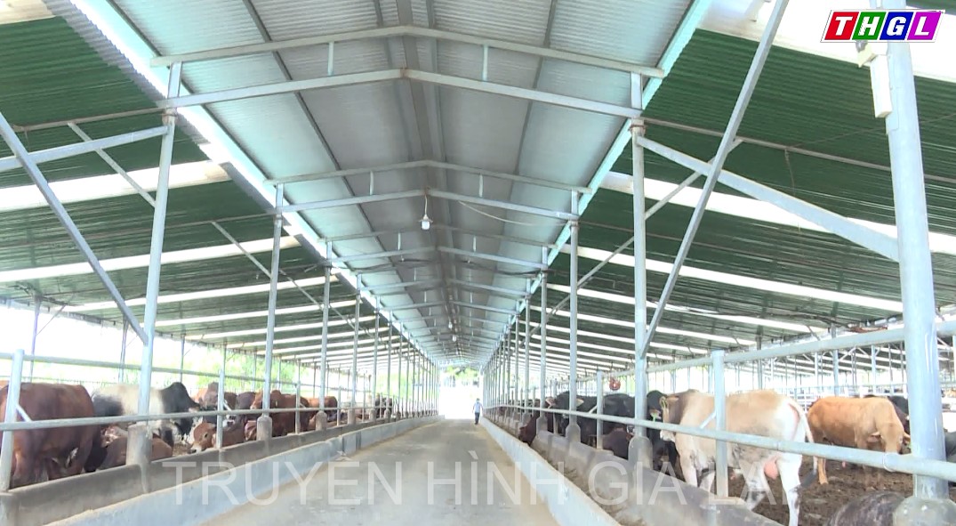 Chuyển mình nơi vùng đất khó Kông Chro