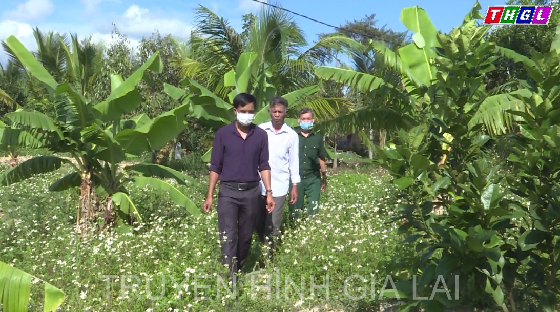 Hội Cựu chiến binh huyện Mang Yang chung tay xây dựng nông thôn mới