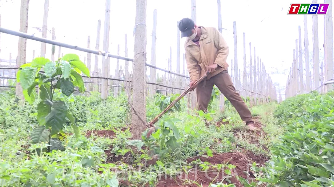 Huyện Đak Đoa phấn đấu giảm 2% hộ nghèo trong năm 2022