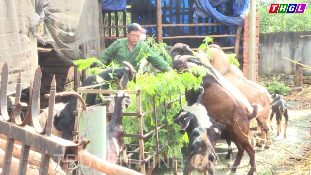 Hoàng Ngọc Tân – Nông dân làm kinh tế giỏi