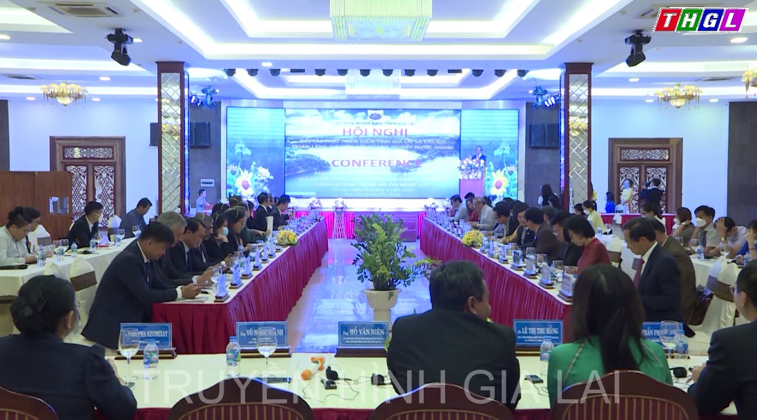 Hội nghị đối tác phát triển giữa tỉnh Gia Lai và các cơ quan lãnh sự, Hiệp hội doanh nghiệp nước ngoài tại thành phố Hồ Chí Minh