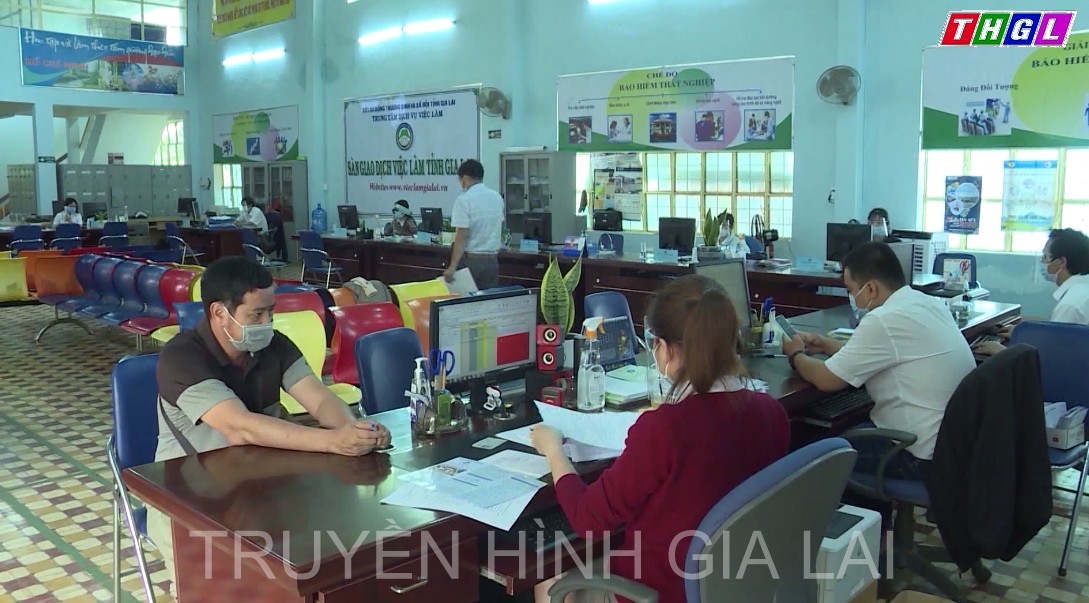 Giai đoạn 2021-2030, tỉnh Gia Lai phấn đấu giải quyết việc làm cho 18.000 thanh niên