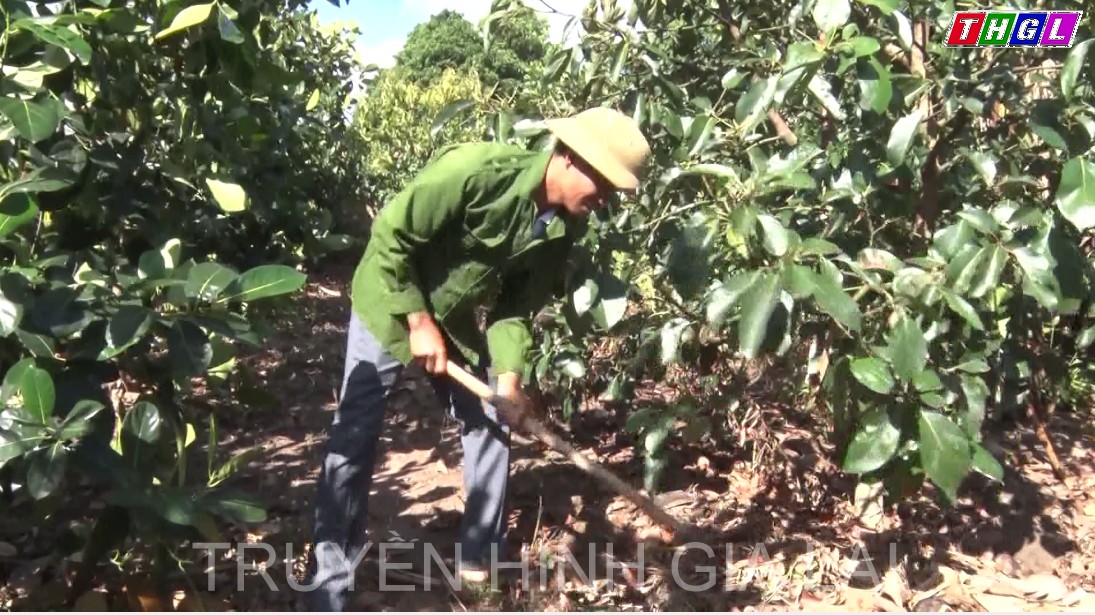 Anh Võ Văn Hiếu – Người đảng viên kiêm thôn trưởng tiêu biểu