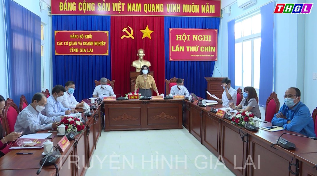 Hội nghị lần thứ chín Ban Chấp hành Đảng bộ Khối các cơ quan và doanh nghiệp tỉnh khóa VIII