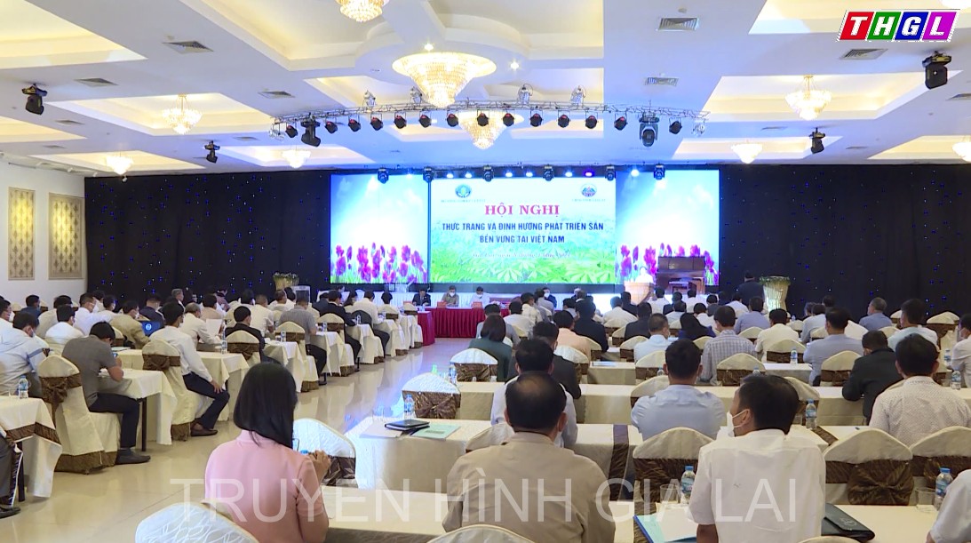 Hội nghị thực trạng và định hướng phát triển sắn bền vững tại Việt Nam