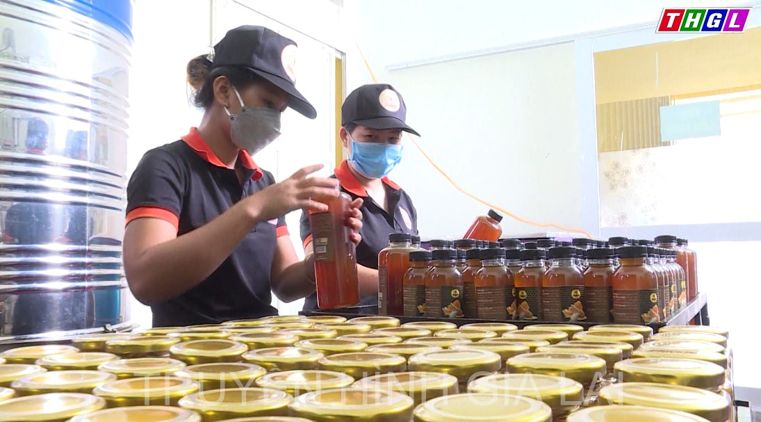 Toàn tỉnh Gia Lai hiện có khoảng 96.000 đàn ong