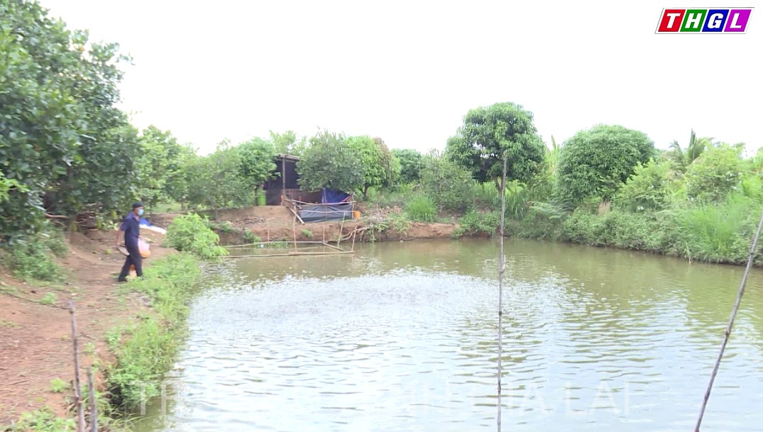 Khởi sắc trong xây dựng Nông thôn mới tại huyện biên giới Đức Cơ