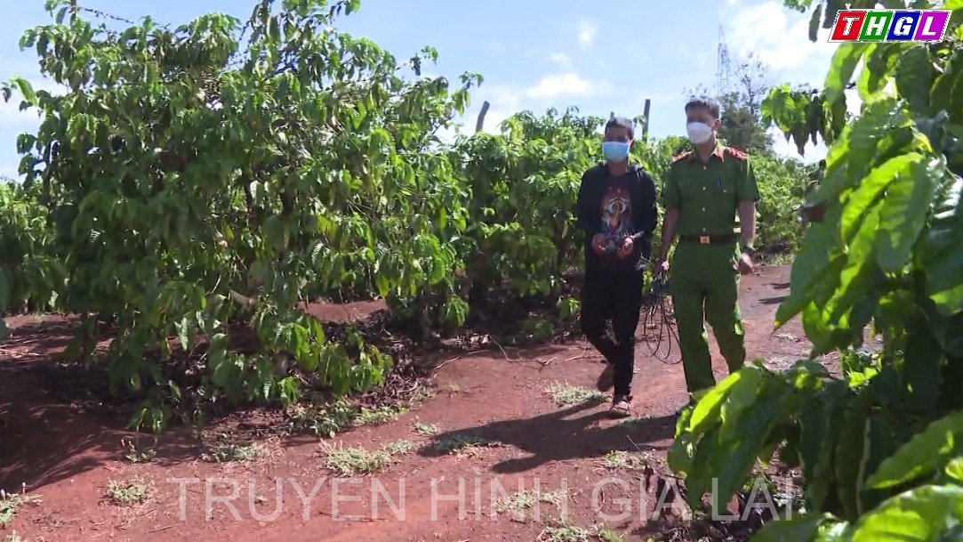 Khởi tố đối tượng giết người, hiếp dâm trong rẫy vắng