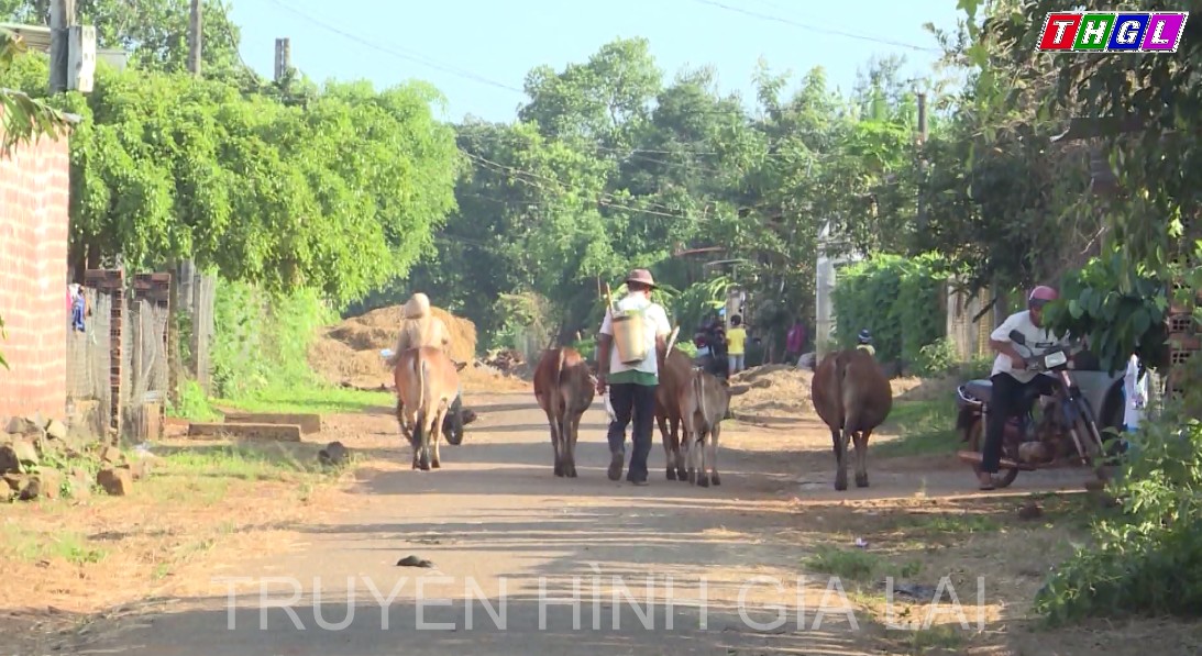 Gia Lai: Tiếp tục hoàn thiện chính sách giảm nghèo gắn với mục tiêu phát triển bền vững