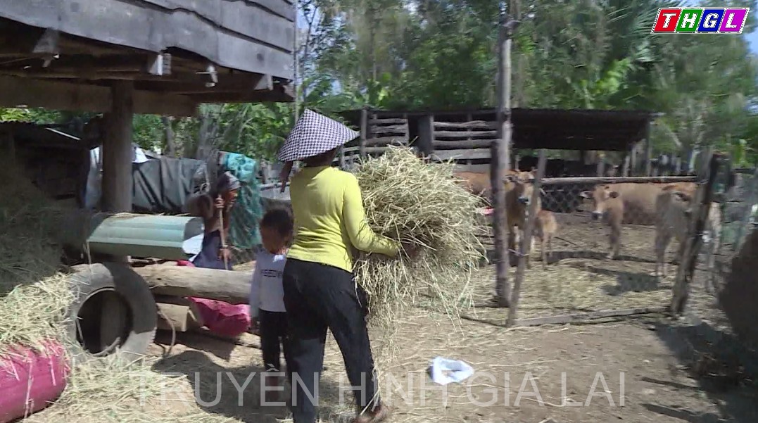 Năm 2022, Gia Lai phấn đấu đạt 90% dân số tham gia bảo hiểm y tế