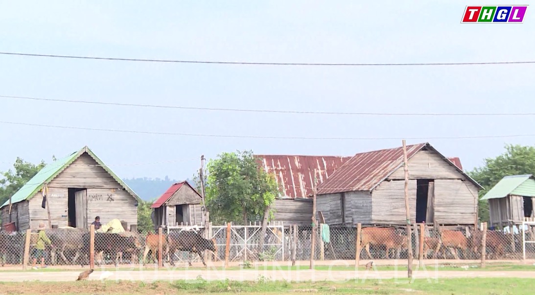 Năm 2022 phấn đấu có thêm 2 huyện, 7 xã và 63 thôn, làng đạt chuẩn nông thôn mới