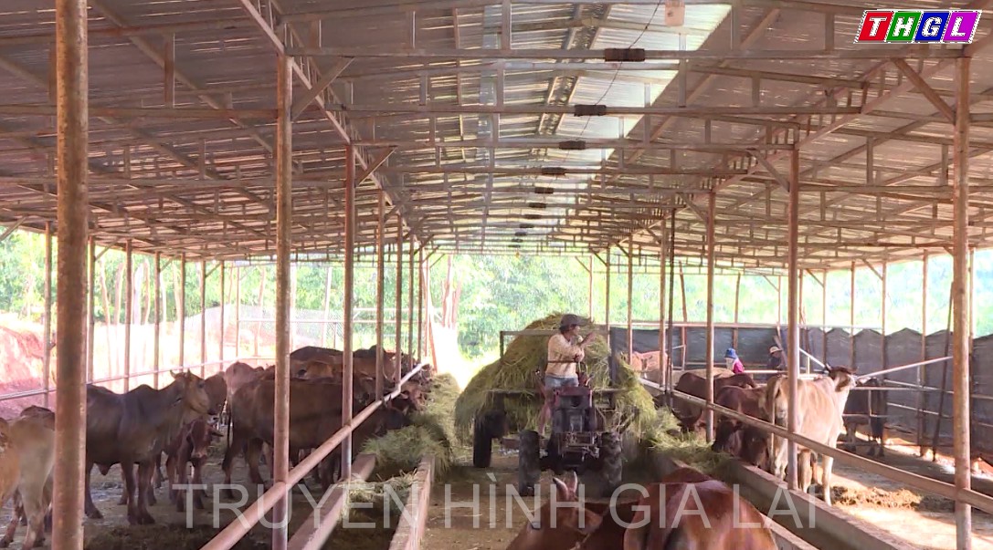 Huyện Chư Pưh phấn đấu cuối năm 2022 tỉ lệ hộ nghèo giảm còn 12,27%