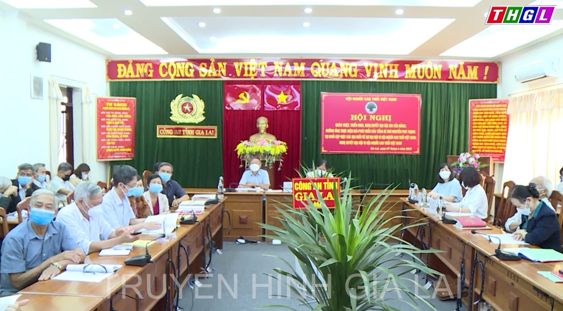 Hội Người cao tuổi Việt Nam: Triển khai chương trình hành động thực hiện Nghị quyết  Đại hội XIII của Đảng