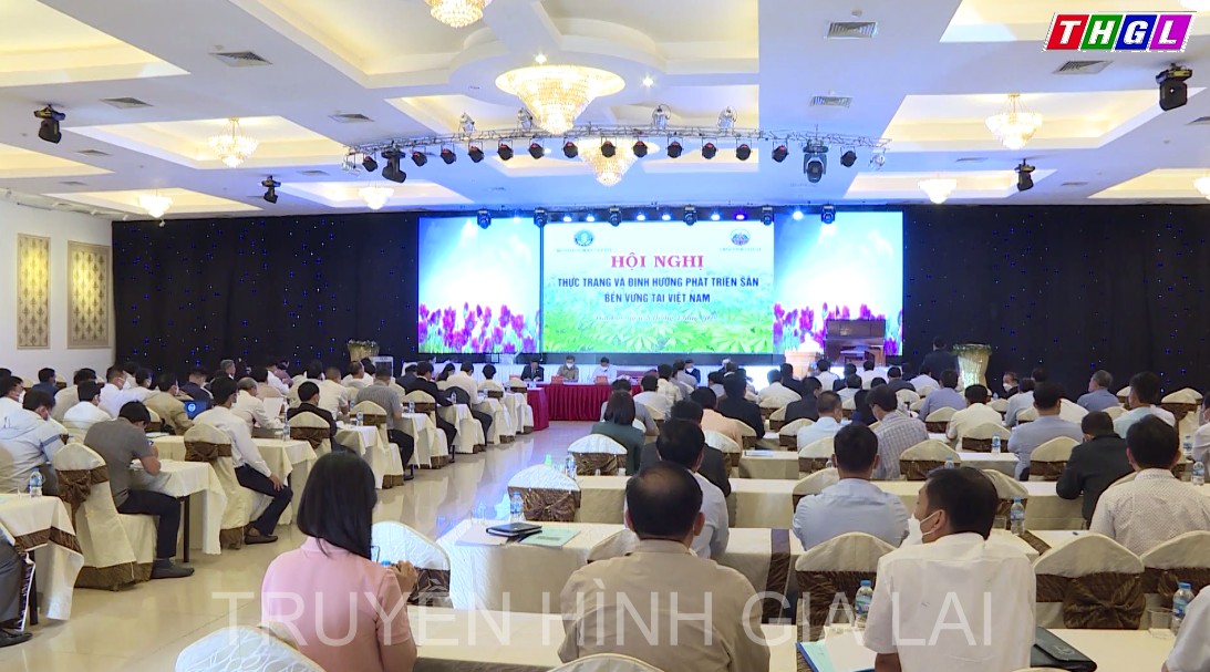 Hội nghị thực trạng và định hướng phát triển sắn bền vững tại Việt Nam