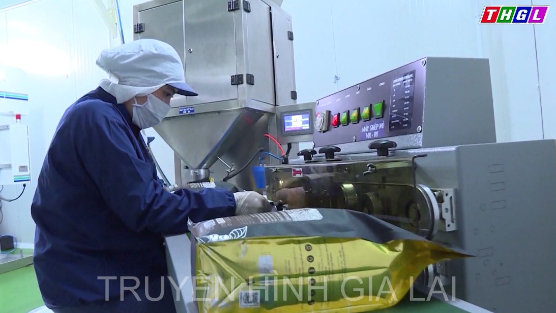 Thu ngân sách trên địa bàn tỉnh Gia Lai tháng 4 ước đạt 451,3 tỷ đồng