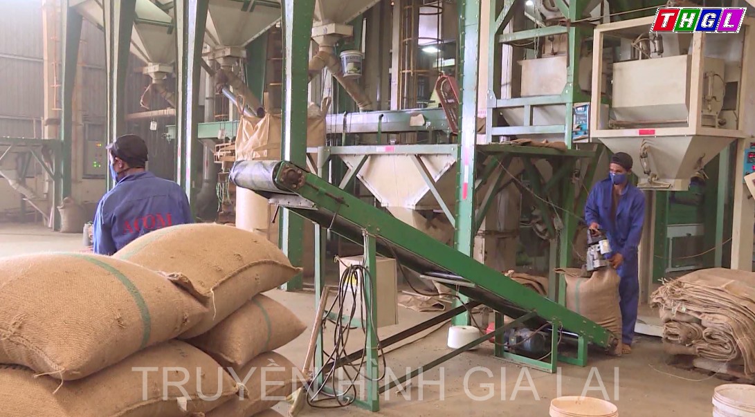 Xuất khẩu cà phê “vượt mặt” rau quả, đạt trên 1 tỉ USD sau hơn tháng đầu năm 2022