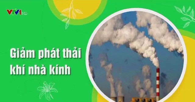 Việt Nam nỗ lực ứng phó với biến đổi khí hậu