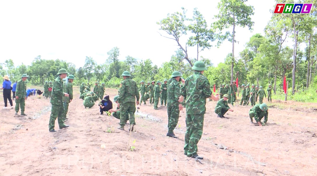 Bộ đội Biên phòng tỉnh Gia Lai tổ chức trồng hơn 11.000 cây bạch đàn