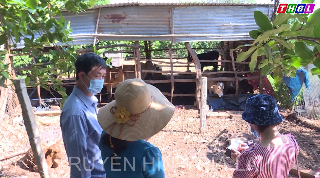 Gia đình chị Nguyễn Thị Hạnh vượt lên từ gian khó