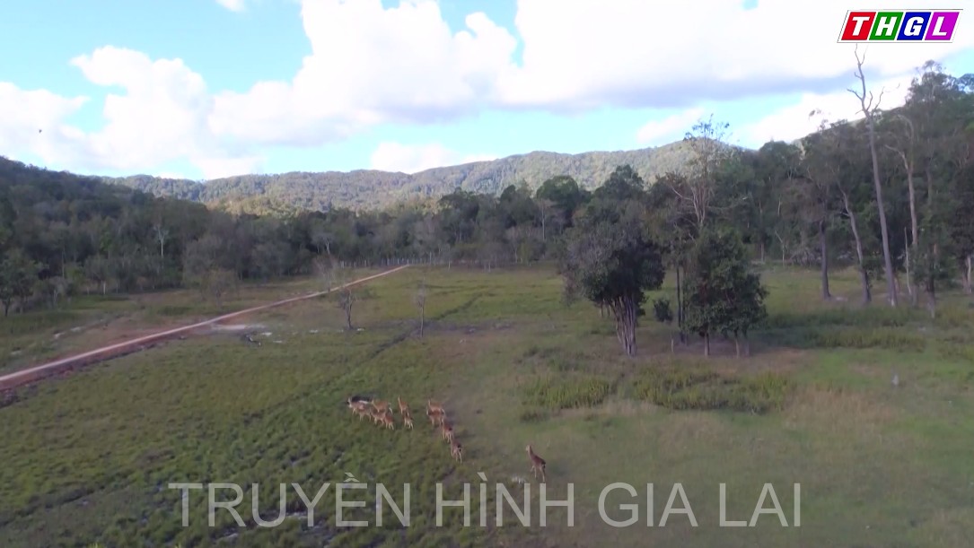 Chiêm ngưỡng vẻ đẹp Cao nguyên Kon Hà Nừng