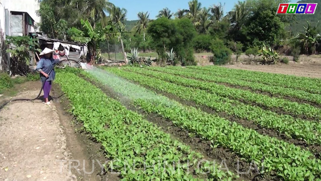 Xã Cư An đưa nghị quyết của Đảng vào cuộc sống