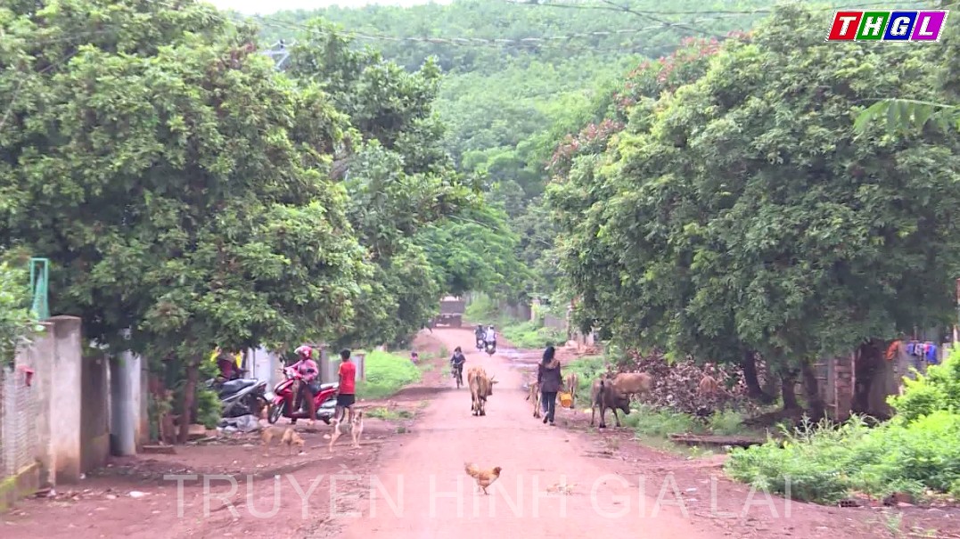 Huyện Đức Cơ phấn đấu giảm tỷ lệ hộ nghèo bình quân hàng năm từ 2% trở lên