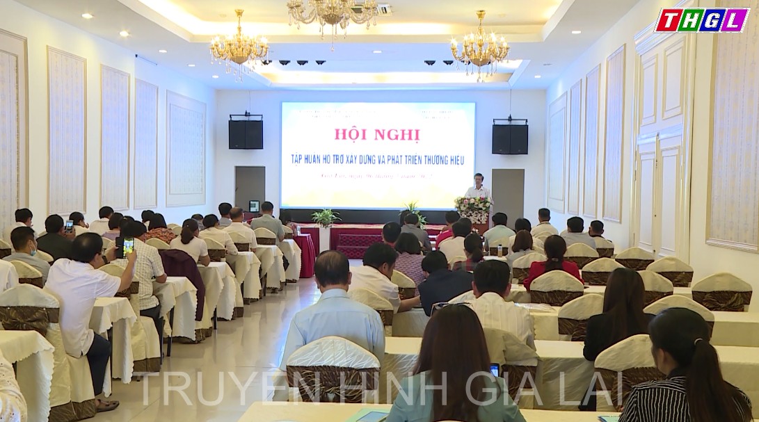 Hội nghị tập huấn hỗ trợ xây dựng và phát triển thương hiệu