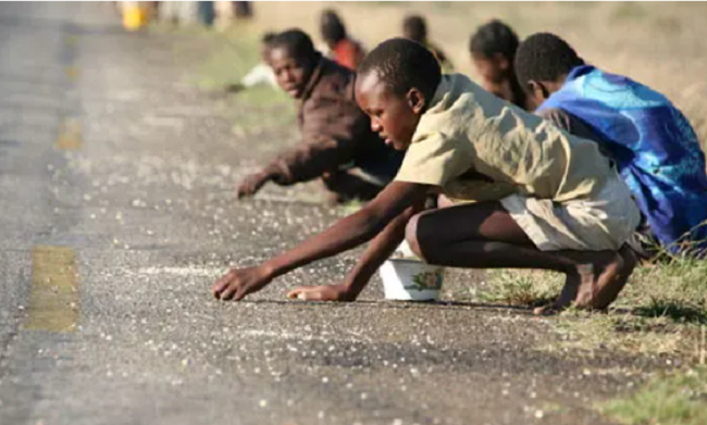 Hơn 300 triệu người trên thế giới đối mặt với nạn đói nghiêm trọng