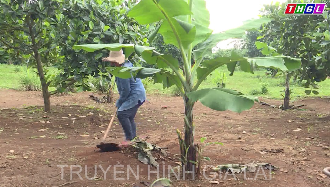 Gia Lai triển khai thực hiện 19 dự án thuộc Chương trình Nông thôn miền núi