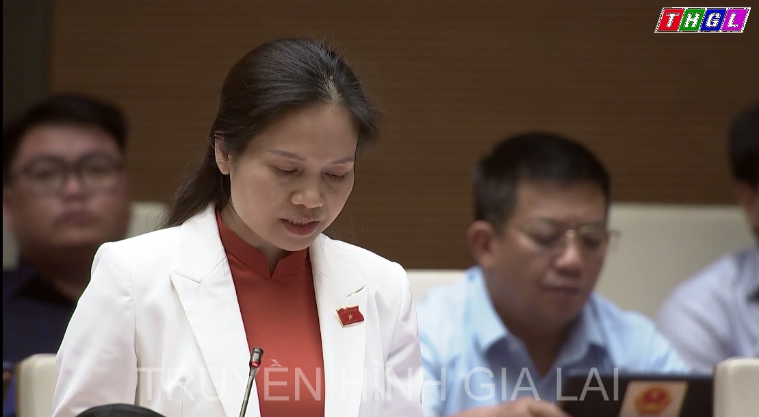 Đại biểu Siu Hương – Đoàn ĐBQH tỉnh Gia Lai:  Công tác quy hoạch sẽ đạt kết quả cao hơn nếu như những tồn tại, hại chế ít đi