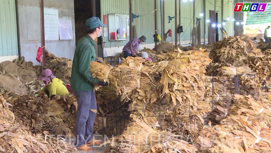 Krông Pa giải quyết việc làm cho trên 320 lao động