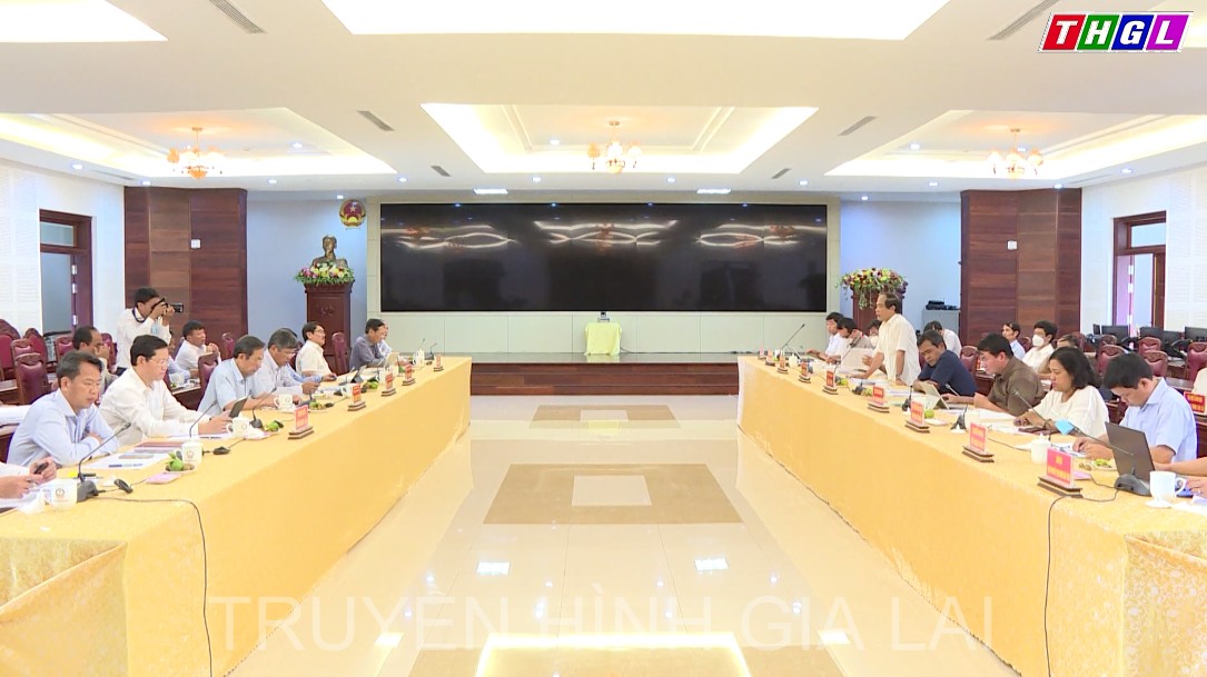 Đảm bảo hài hòa giữa nhiệm vụ phát triển kinh tế- xã hội của tỉnh và nhiệm vụ kinh doanh của Tập đoàn Công nghiệp Cao su Việt Nam